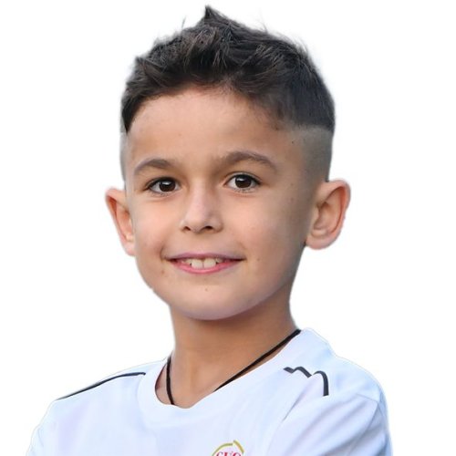 MOISA AADRIAN COSMIN